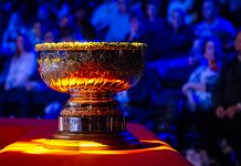 Вырисовывается список участников Champion of Champions 2017